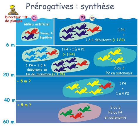 Pr Rogative Des Niveaux Blog Du Club De Plong E Hague Marine