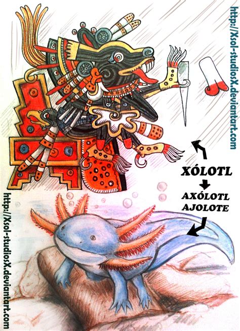 Xolotl And Axolotl By XSol StudiosX On DeviantArt Ajolote Dioses