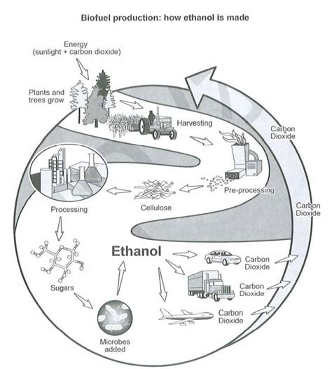 IELTS process diagram: Biofuel production: | Lifestyle Training Centre®