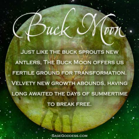 Meaning Of Buck Moon At Santos Waddell Blog