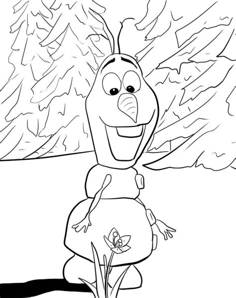 Desenho De Olaf E Flor Para Colorir Tudodesenhos