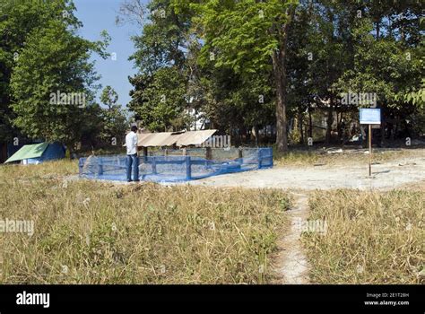 The cremation site and grave of Cambodian dictator Pol Pot, the Khmer Rouge (communist) leader ...