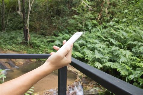 Premium Photo Close Up Of Woman Hand Holding Plants