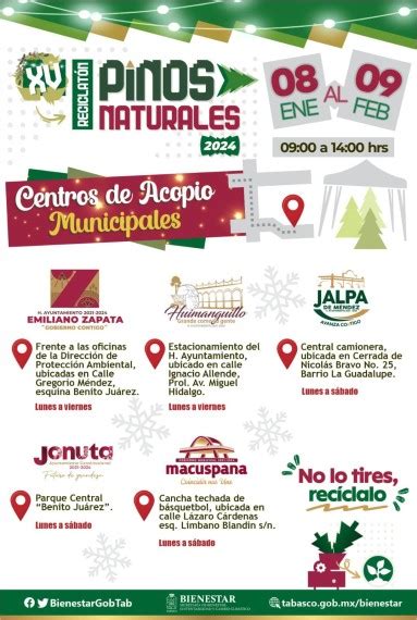 Reciclatón De Pinos De Navidad En Tabasco ¿dónde Se Ubican Los Centros