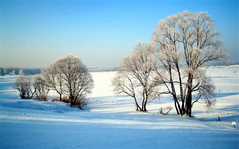 🔥 [40+] Windows Widescreen Winter Wallpapers | WallpaperSafari