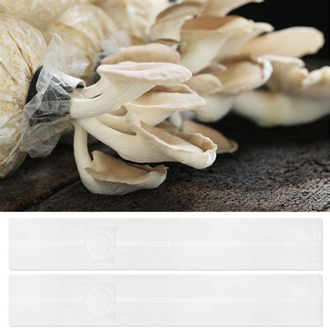 Buy Your Smile20 Pcs Mushroom Growing Bags 6 Mil Breathable Plastic