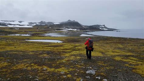 Por Qué La Próxima Pandemia Podría Provenir Del Derretimiento De Los Glaciares Infobae