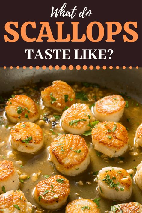 What Do Scallops Taste Like Insanely Good