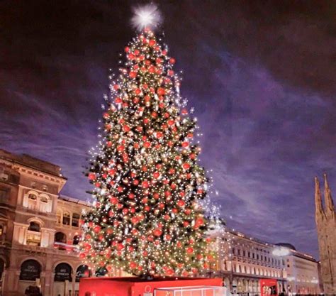 Natale A Milano Domani La Cerimonia Di Accensione Dell Albero In