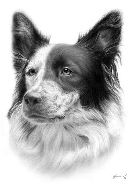 Pin On Dogss Dog Art Dog Paintings Dog Portrait Drawing