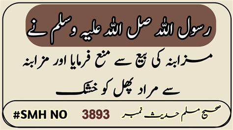 Sahih Muslim Hadees No Int Lain Dain Hadees Sharif