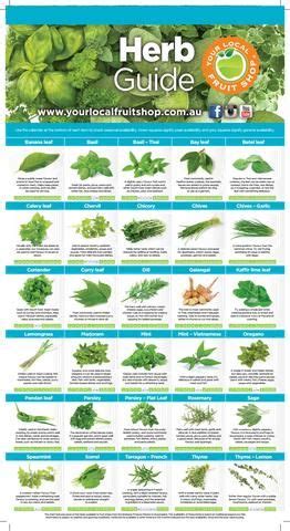 brisbane produce market vegetable guide artofit