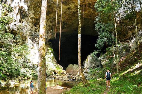 Belize Jungle Tours