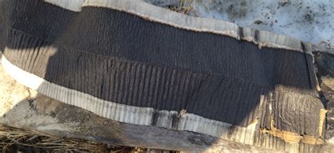 Топливный фильтр — SsangYong Actyon (1G), 2,3 л, 2008 года | расходники ...