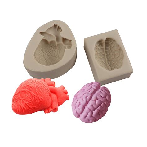 Heart Brain Silicone Moldhuman Organs Resin Moldcake Fondant Etsy