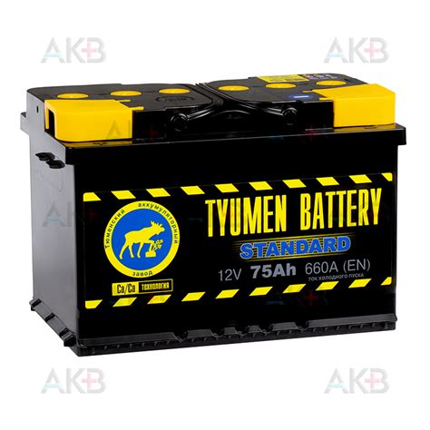 Купить Автомобильный аккумулятор Tyumen Battery Standard 75 Ач прям ...