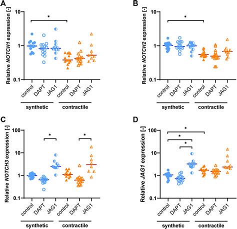 Frontiers Notch Signaling Regulates Strain Mediated Phenotypic