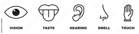 Five Senses Icon Collection. Eye, nose, ear, hand, mouth, tongue signs ...