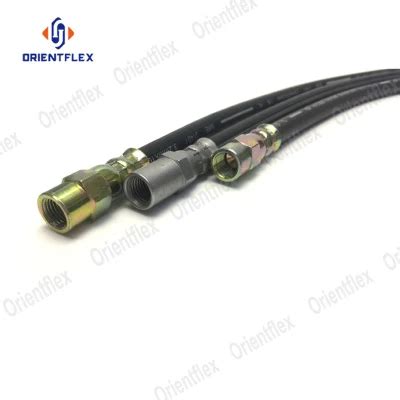 Dot Sae J Auto Motorcycle Hydraulic Brake Hose Assembly China