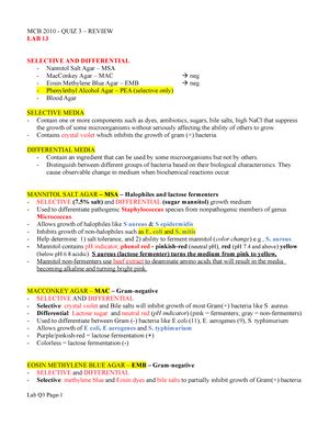 Lab Quiz Review Revised Mcb Lab Quiz Review Labs