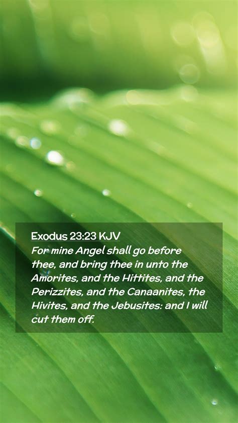 Exodus Kjv Mobile Phone Wallpaper For Mine Angel Shall Go