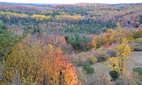 Shelburne Tourism 2021: Best of Shelburne, Ontario - Tripadvisor