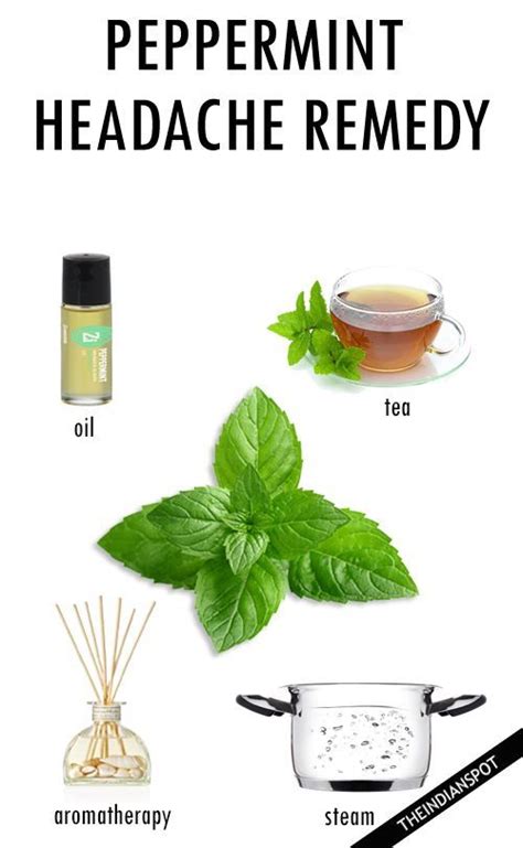 Peppermint Headache Remedy Natural Headache Remedies Headache Remedies Remedies