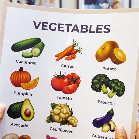 Wonder Tots A3 Educational Posters for Children, Toddlers & Babies