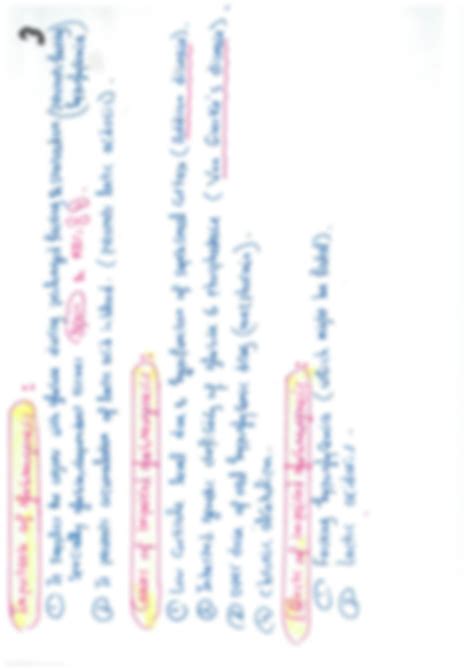 Solution Gluconeogenesis And Glycogen Metabolism Pdf Studypool