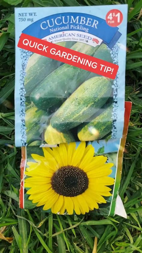 Quick gardening tips#gardening#gardentips#gardenhacks | Quick garden ...