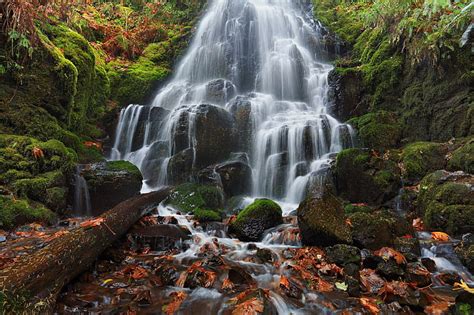 Cascada del río Columbia Oregon Cascada Rocas Hojas de musgo Otoño