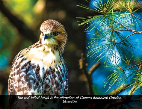 Sustainability initiatives will soon transform the queens botanical garden 20