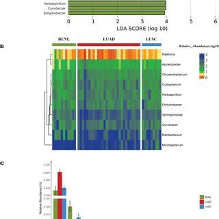 Diversity In Bacterial Communities In Three Classifications Of Lung