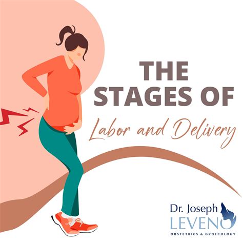 Stages Of Labor And Delivery Dr Joseph Leveno