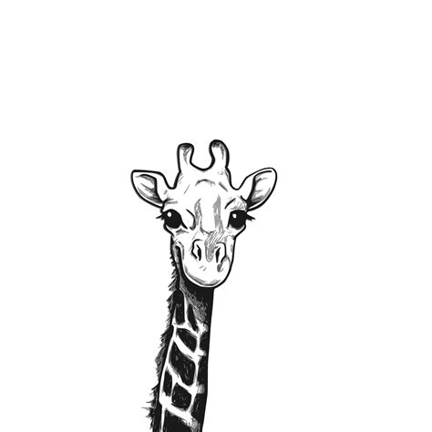 Clipart face a smiling giraffe or color Royalty Free Vector - Clip Art ...