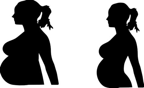 Free Pregnancy Cliparts Download Free Pregnancy Cliparts Png Images Free Cliparts On Clipart