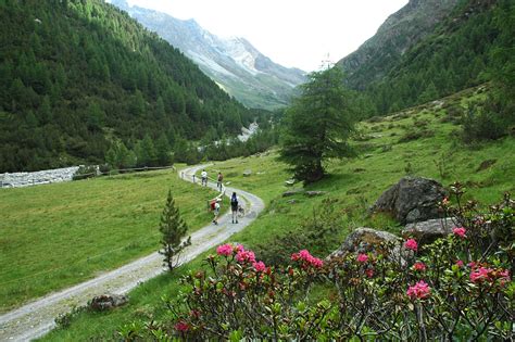 I Sentieri Del Parco Parco Nazionale Dello Stelvio