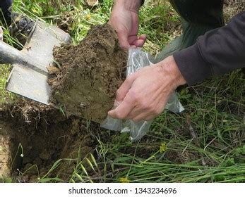 Collection Soil Sample Stock Photo 1343234696 | Shutterstock