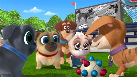 The Bark Bowl Disney Wiki Fandom