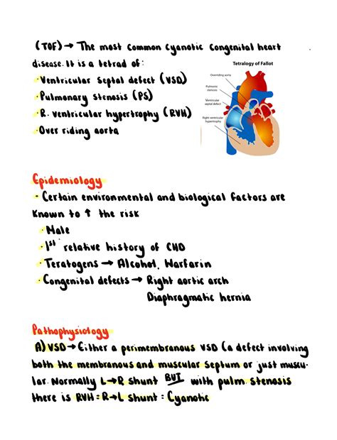 SOLUTION Tetralogy Of Fallot Studypool