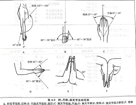 关节正常活动范围知多少 健康160