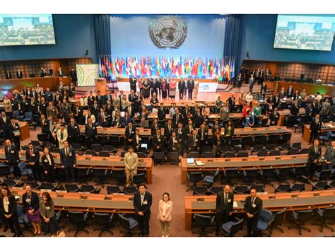 On The 79th Session Of The United Nations Economic And Social