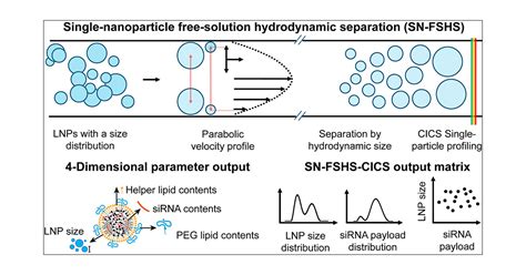 Single Particle Spectroscopic Chromatography Reveals Heterogeneous Rna Loading And Size