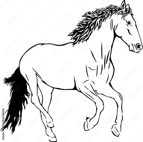 Horse running, outline vector illustrations design Stock Vector | Adobe ...