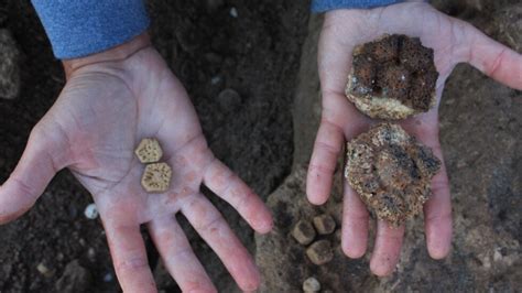 Hallazgo Paleontol Gico Nico En Mar Chiquita Encontraron Restos