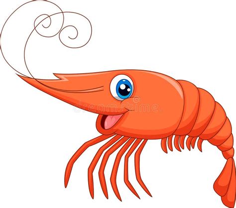 Cute Shrimp Cartoon Stock Vector Illustration Of Natural 45855721