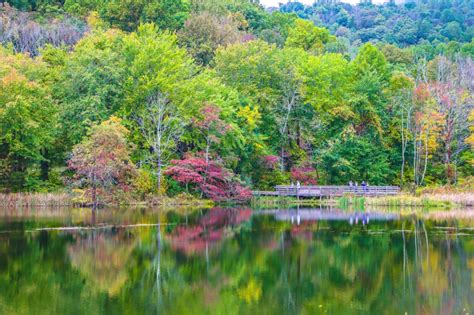 Virginia Fall Foliage: The 15 Best Places to See Fall Colors in VA ...