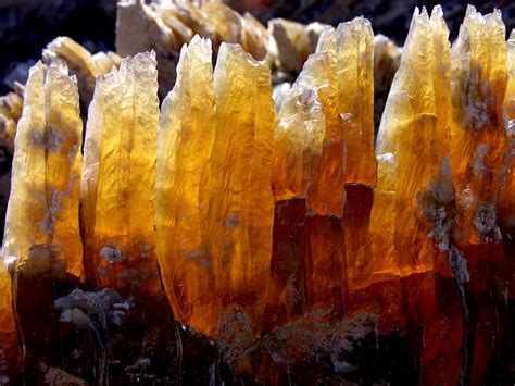 Selenite Crystals in White Sands National Monument, New Mexico ...