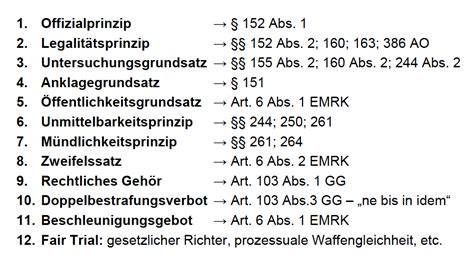 Prozessmaximen StPO Repetico