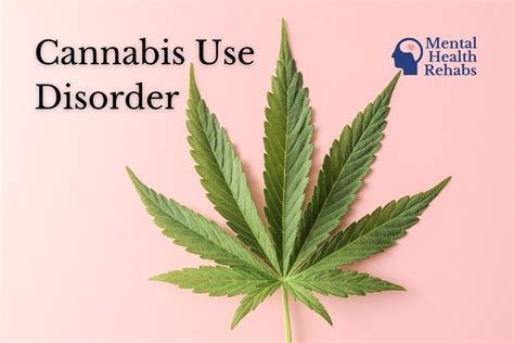 Cannabis Use Disorder: All You Need to Know - Mental Health Rehabs